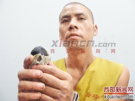 �������������������õľ�����������ƭ�˵ĵ��ߡ����١��򱦡���