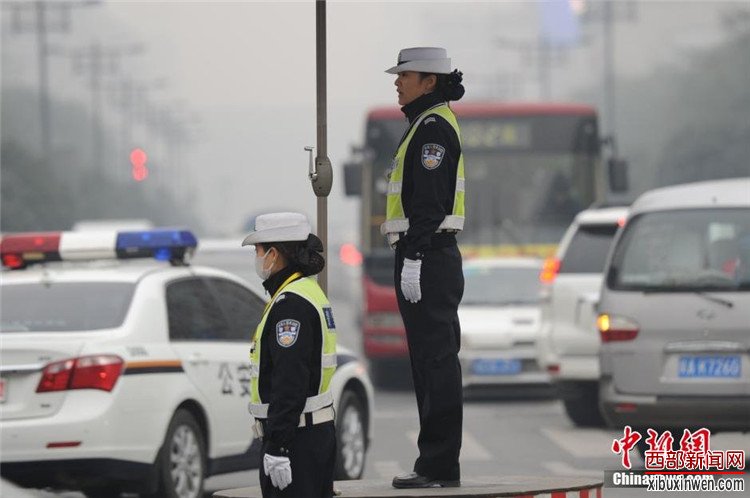 ��������Ƶ�������� ����������&ldquo;��ɫԤ��&rdquo;