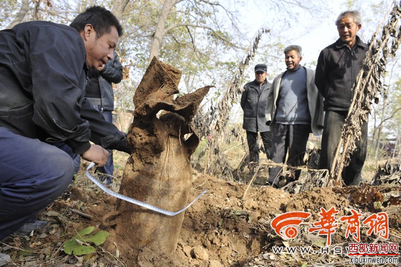 �������е�ը���������ٴ��ڳ�����ը�������n�E�߰ߣ�����׌�˺��±���ӛ���粨�z