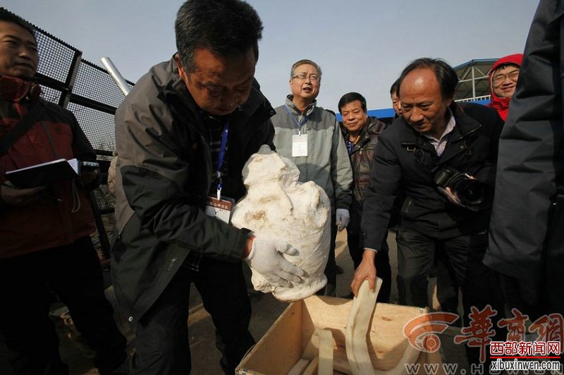 һ���ڱ����������ͭ������������ɴ