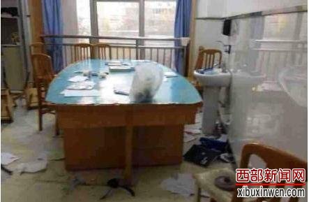 ��������ҽԺ����ҽ����ͻ ��ҽ����6������