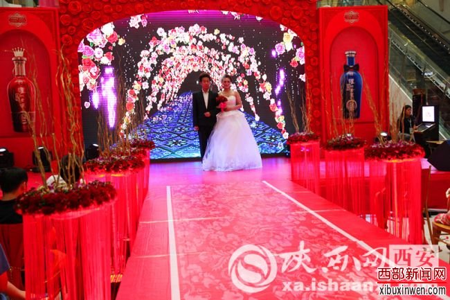 IMG_0782_����