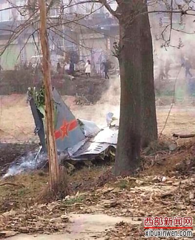 �����Ĵ�ֱβ���к���΢����ͼ