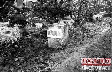 ��������һũҵ��˾����ƭ����������Ԫ����