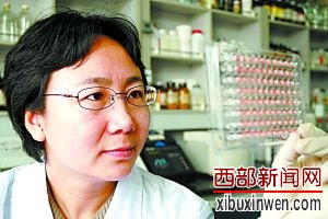 �����еĳ»����о�Ա��