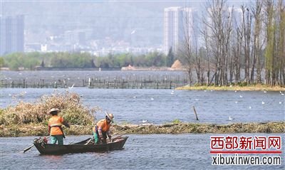 ������ǰ������ʡ�����е�ع������˽⵽�����Ͻ��꽫ʵʩ88�����������Ŀ��������������26����Ŀ�������ʵʩ62����������Ͷ��33��Ԫ��Ϊʵ��&ldquo;ʮ����&rdquo;ĩ����⺣���ݺ�����Ҫ����ӵ�ˮ�ʴﵽ����ˮ��Ŀ���û�����