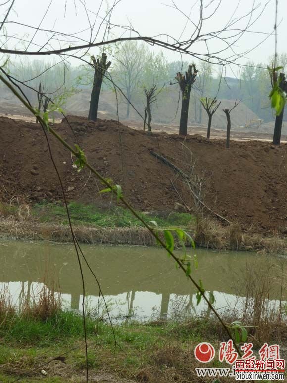 ���Ӻ�̲���������������ˮ��ֳ�&ldquo;�Ժӵ�������Ѵ�к���Ӱ��&rdquo;