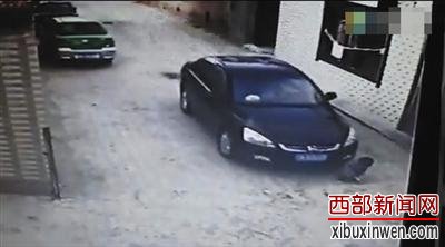 ��������һ��ί�ɲ�����Ůͯ���� �ñ���&ldquo;����&rdquo;