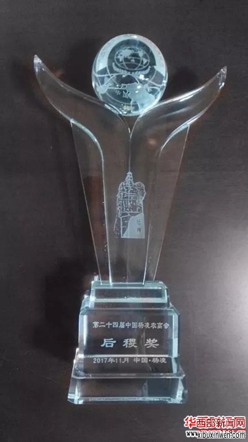 ����ȫ������������