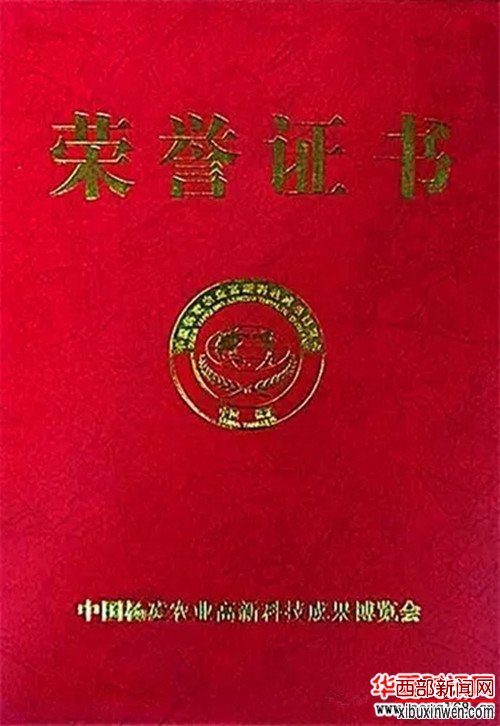 ����ȫ������������