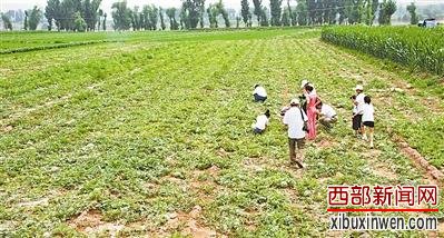 ����������ٴ�80������������40����