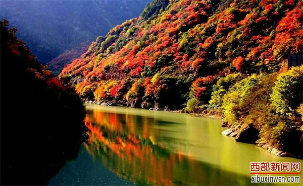 202010151609294826.jpg 4(1).jpg