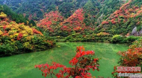 202010151611388007.jpg 5(1).jpg