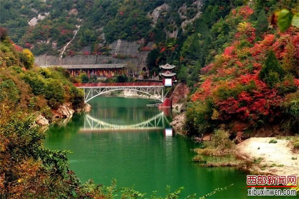 202010151612031609.jpg 7.jpg