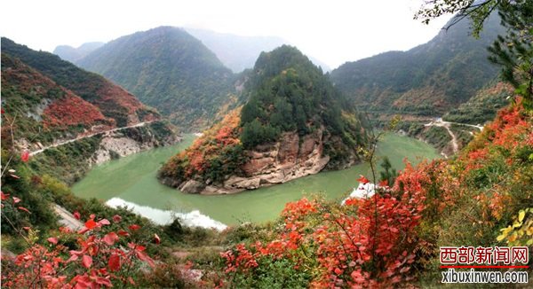 202010151610571896.jpg 11.jpg