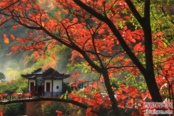 202010151610445708.jpg 1(1).jpg